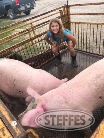 Kenna Jankowski, Market Swine,